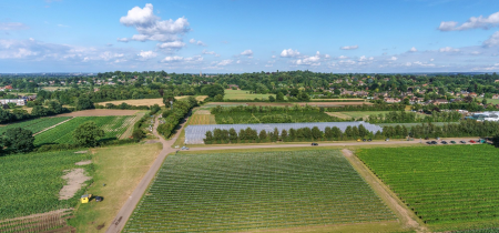 Garson Farm PYO, Surrey