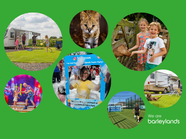 Camping Summer Holiday Activity Bundle