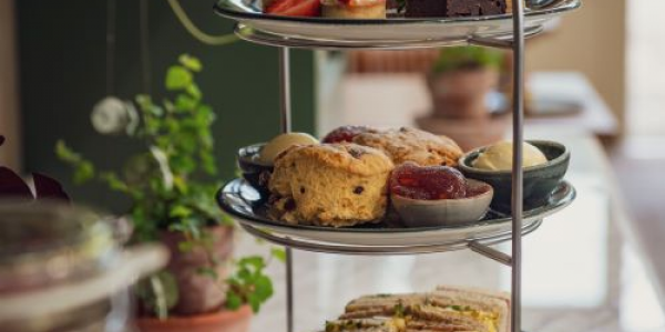 Festive Glasshouse Afternoon Tea