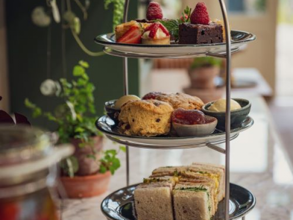 Festive Vinery Afternoon Tea