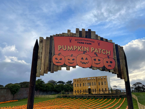 Pumpkin Fest 2025