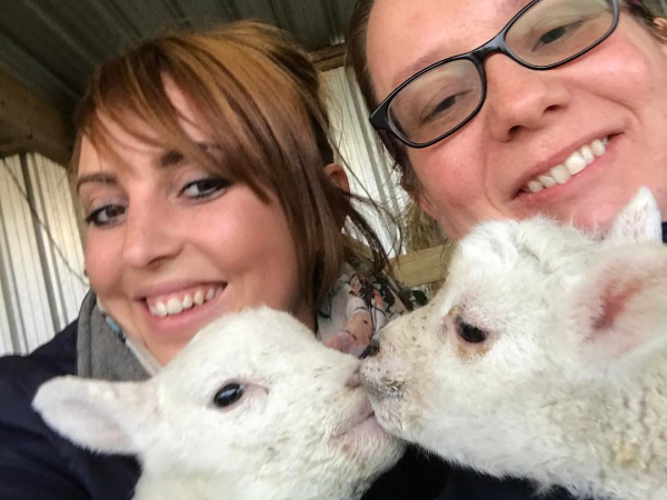 Valentines 'Date or Mate' Farm Night