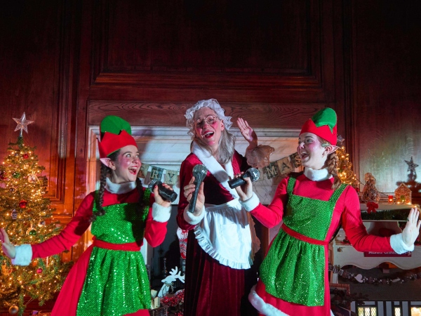 Package| Family | Meet Father Christmas + The Elves and the Jingle Bell Ball + Painted Hall 2026