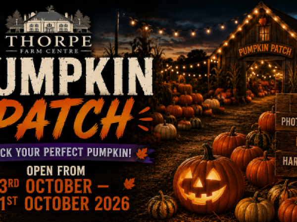 Pumpkin Patch