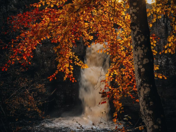 High Force Waterfall