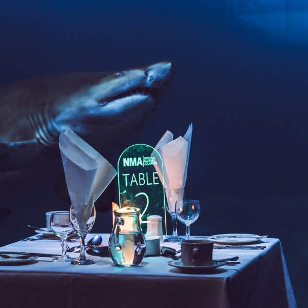 Dine at The Aquarium