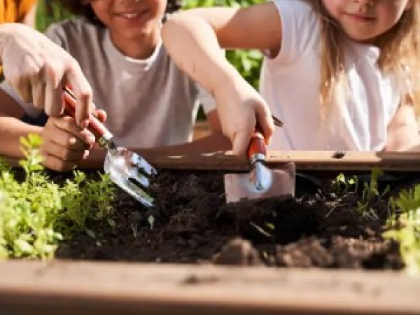 Children's Activities