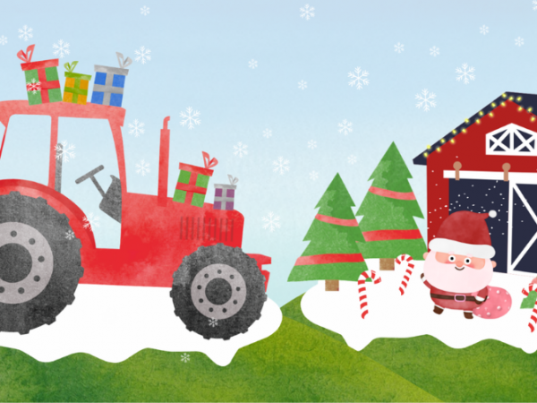 Father Christmas on the Farm