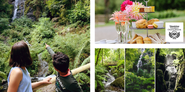 Canonteign Falls Gift Vouchers