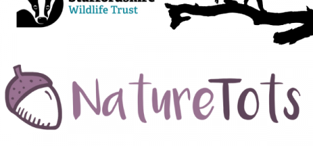 Nature Tots with the Staffordshire Wildlife Trust