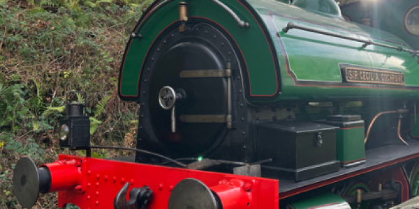 Steam Train Travel with Fish & Chips (North East)