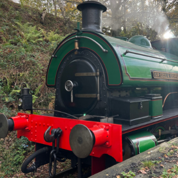 Steam Train Travel with Fish & Chips (North East)