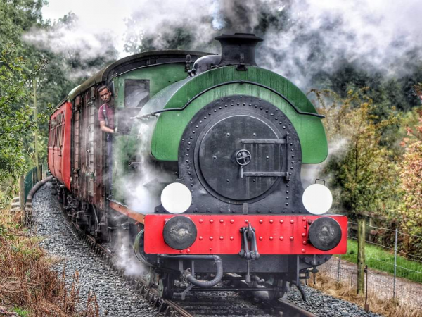 Mother's Day Steam Train Rides; Sunday 15th March.