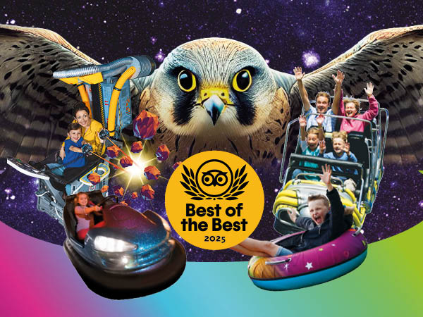 General Park Admission Tickets