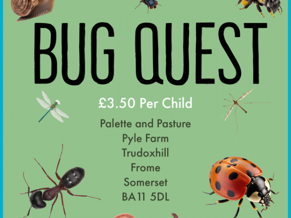 Bug Quest