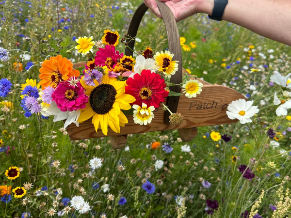 Flowers
