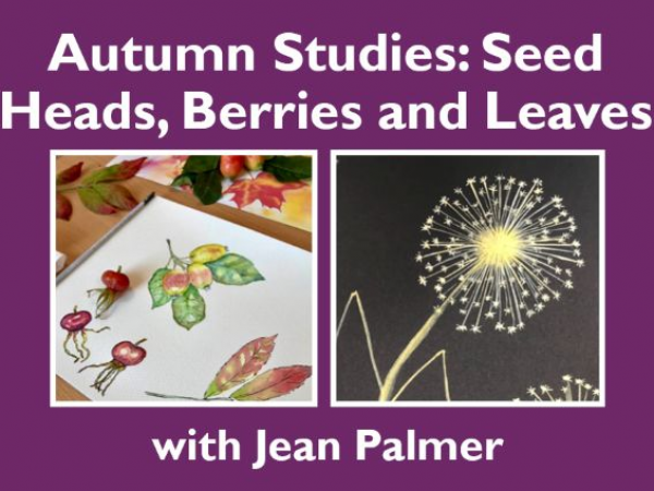 Autumn Studies: Seed Heads, Berries & Leaves at Barton Grange