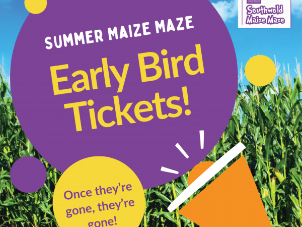 Early Bird Summer Maze Day Ticket 2024