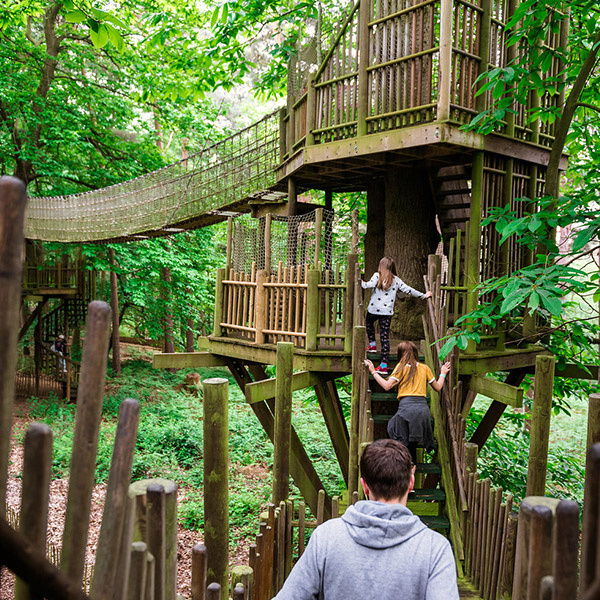 BeWILDerwood Norfolk Tickets, Products, Membership Plans, Gift Vouchers ...