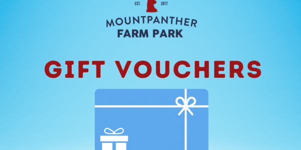 Gift Vouchers