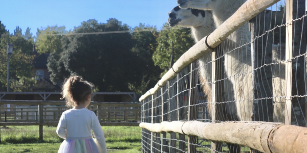 Farm Admission