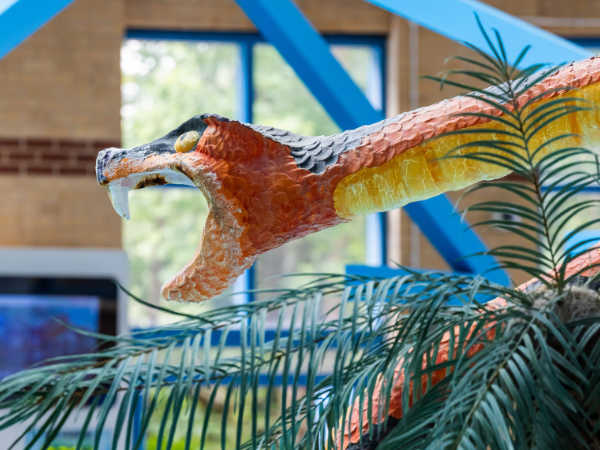 Coral Reef Waterworld Bookings