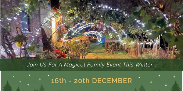 Enchanted Nights at Wylds Farm