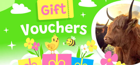 Gift Vouchers