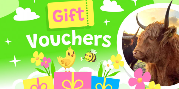 Gift Vouchers