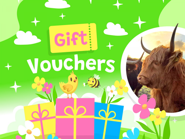 Gift Vouchers