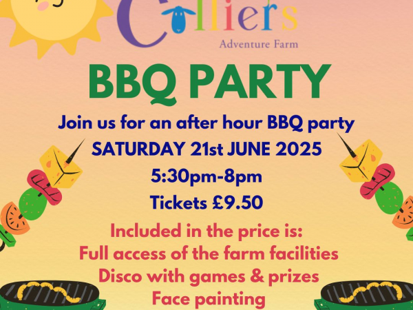 BBQ Party