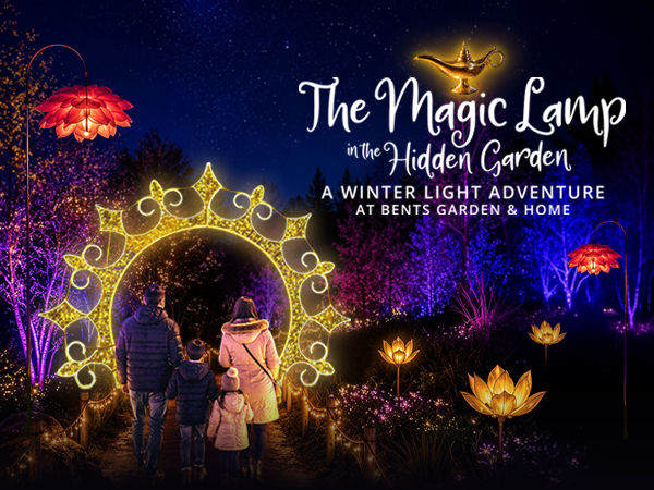 The Magic Lamp in the Hidden Garden - 20th November to 30th December