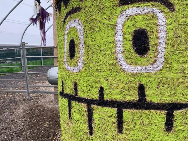 Halloween at the Farm (18th October - 2nd November)