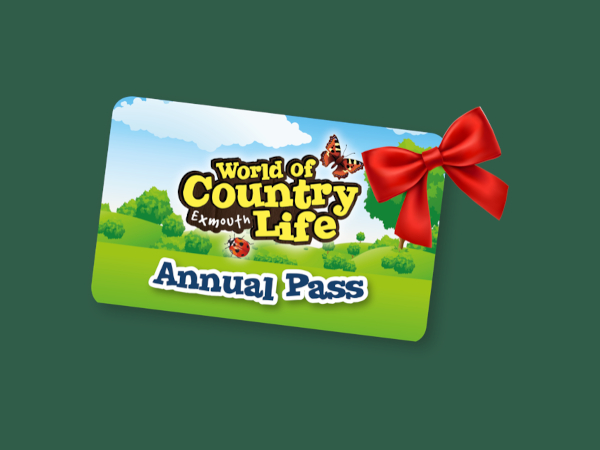 Gift Vouchers
