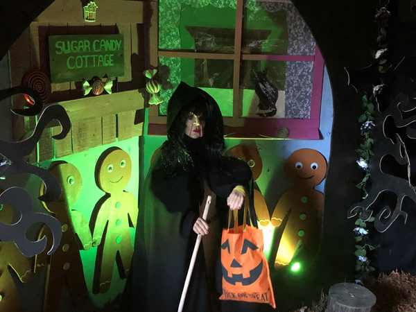 Halloween and Illuminations Evening event