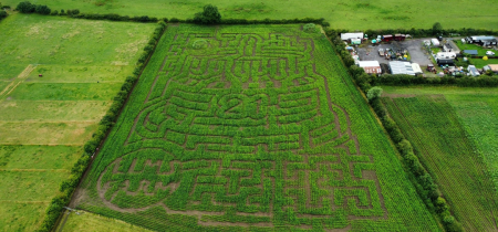 Maize Maze Tickets