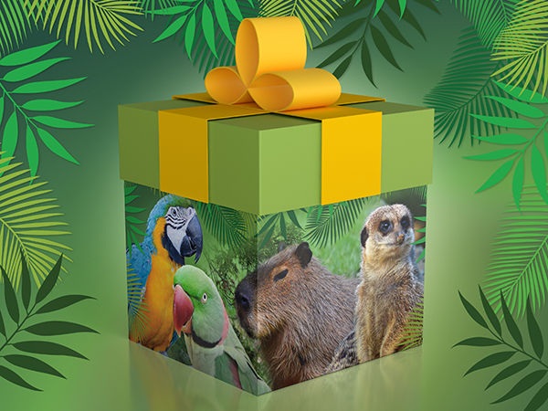 Gift Vouchers