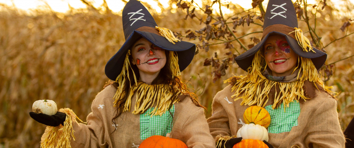 Pumpkin Farm Festival: Daytime OPEN Tickets