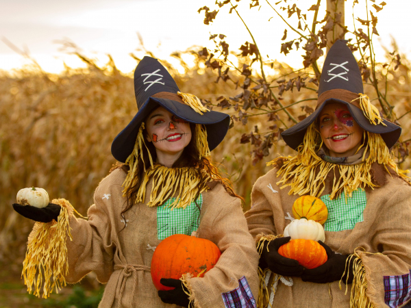 Pumpkin Farm Festival: Daytime OPEN Tickets
