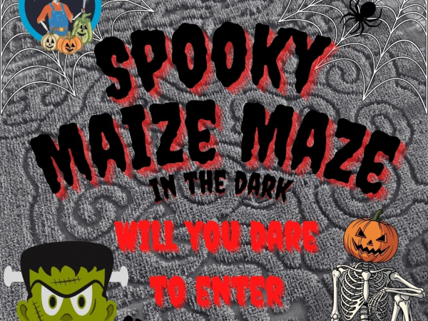 Spooky Maize Maze in the Dark