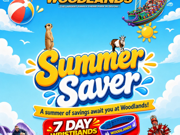 Summer Saver 7 day Wristband 25th June - 1st September