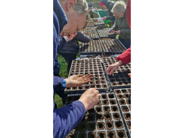 Winter Growing Workshop