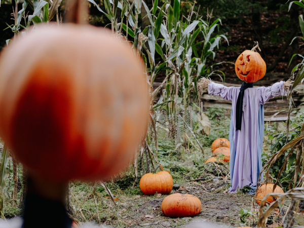 Hallowe'en at the Ulster American Folk Park, Omagh