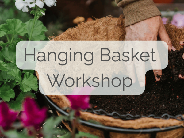 Hanging Basket Workshop