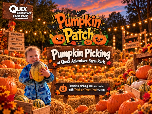 Pumpkin Picking