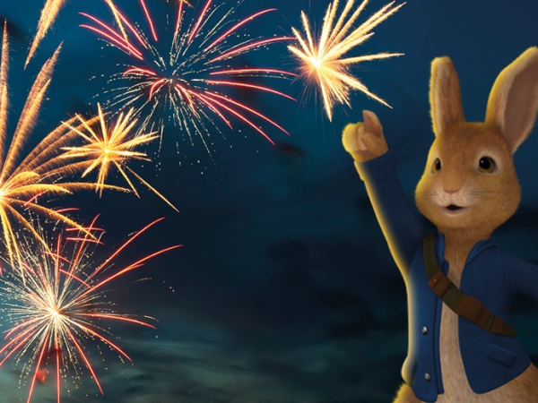 Fireworks at Willows 2026