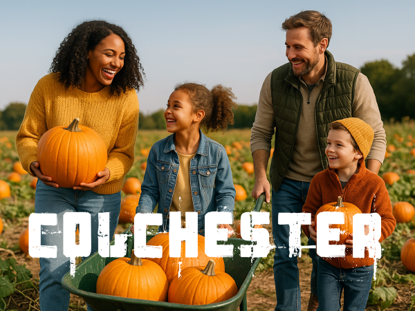 The Pumpkin Patch at COLCHESTER CO6 3PT