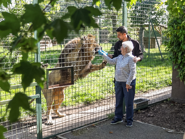 Big Cat Encounter