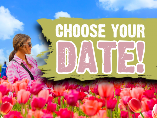 Phase 1 - Choose a Date - Tulleys Tulip Garden Warwickshire 2026