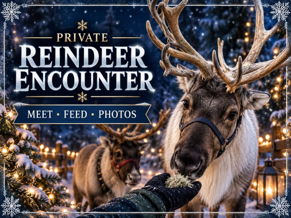 The Reindeer Experience